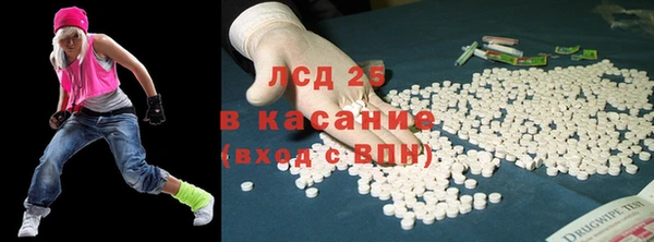 индика Богородск