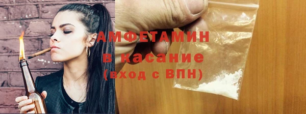 индика Богородск
