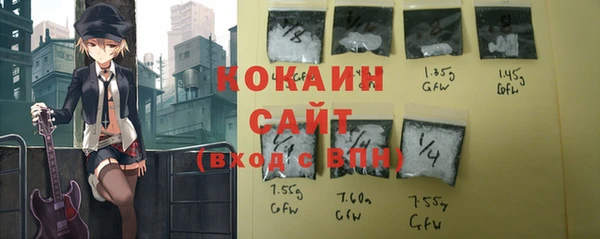 индика Богородск