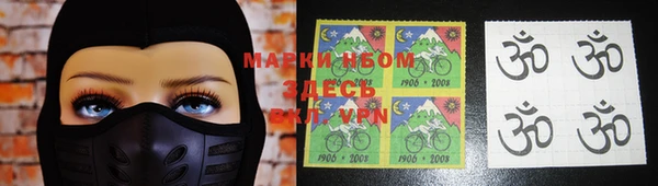 индика Богородск