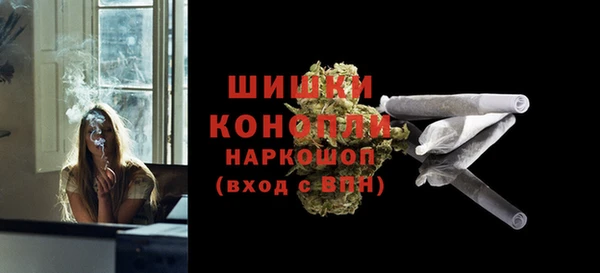 индика Богородск
