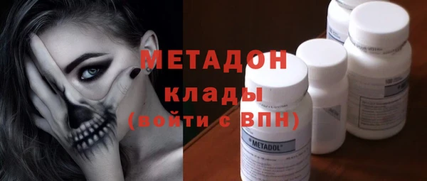 индика Богородск