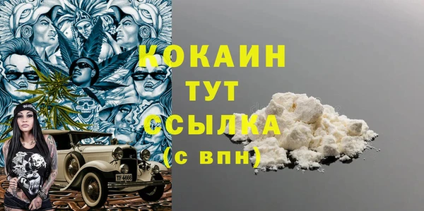 индика Богородск