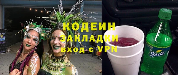 индика Богородск