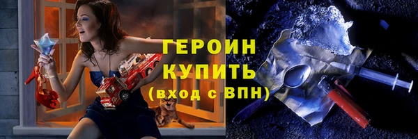 индика Богородск