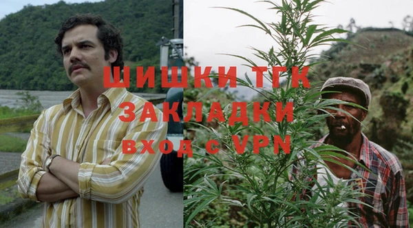 индика Богородск