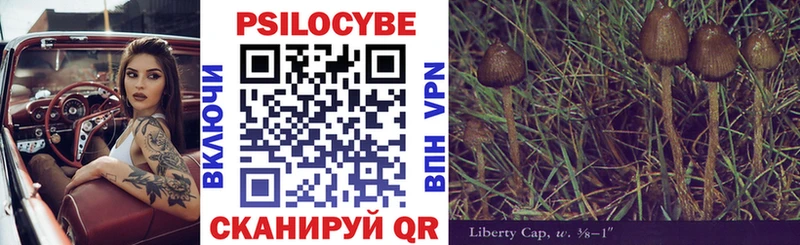 Купить где  Усть-Катав  Псилоцибиновые грибы мухоморы 